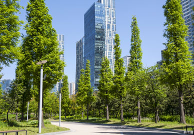 Best Cement Company In South India