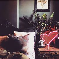 Ensure Strong Brand Exposure with Custom Neon Lights