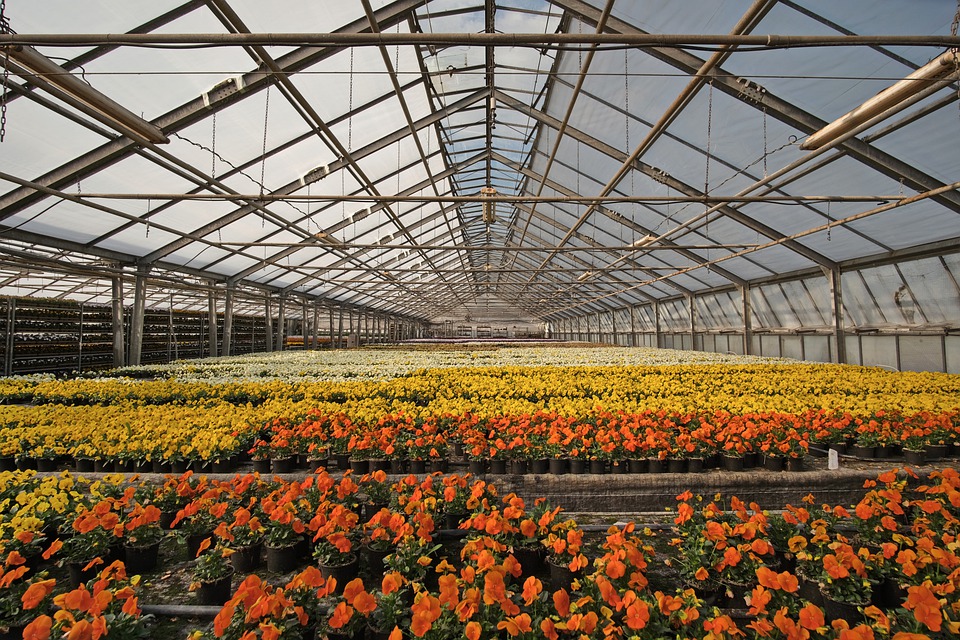 Global Greenhouse, Nursery, And Flowers Market Growth And Trends In 2020