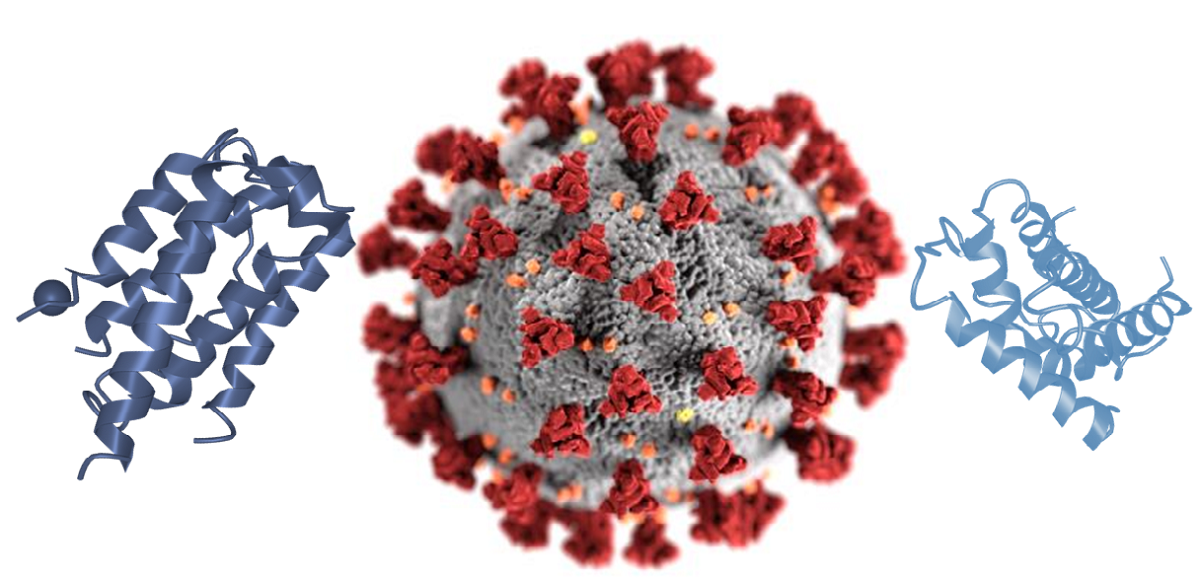 Interferons Market Size, Demand, Growth, Analysis and Forecast to 2030