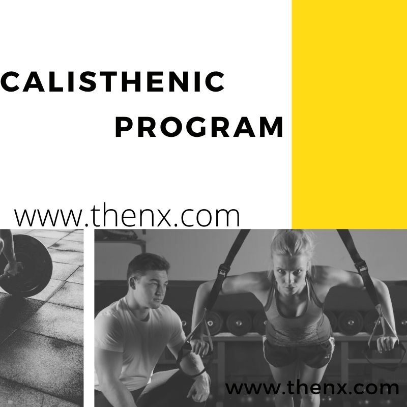 Thenx the school of Calisthenics Program