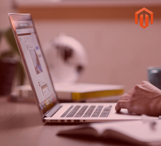 Magento Web Development Delhi NCR