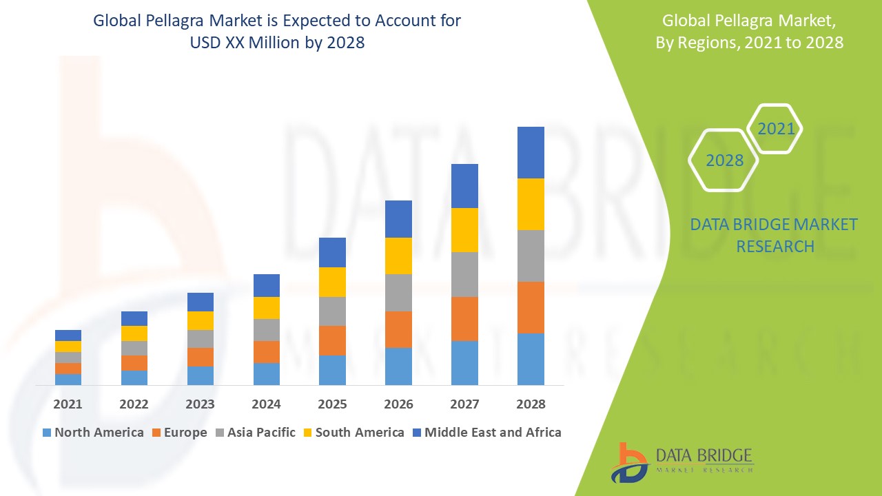 Inside the Pellagra Market Global Efforts and Therapeutic Advances Combating Niacin Deficiency