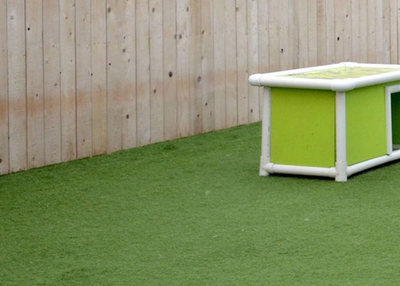 A Ready to launch website like Rover clone script