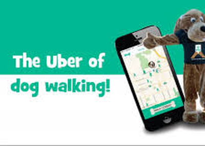 Launch Your Own Distinct Dog Walking on Demand Facility as a Fabulous Business