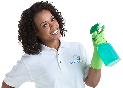 House Cleaners Arlington