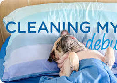 Move in Clean Midlothian TX