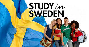 Want to Study Overseas? Know About Study in Sweden?