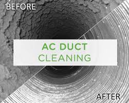 Why Professional Mold Cleaning Service is Important in Dubai?