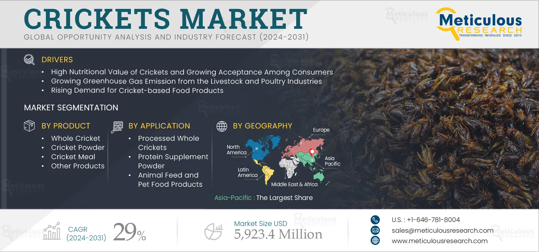 Crickets Market Projected to Hit $5,923.4 Million by 2031