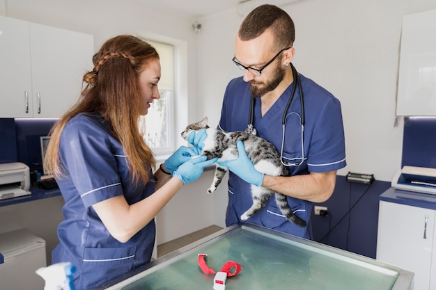 Finding the Best Veterinary Clinic in Qatar: Comprehensive Pet Care Services