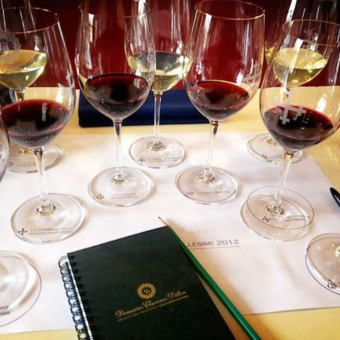 Discover Wine Tasting in Santa Rosa