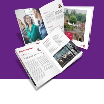 Unlock the Potential of Flyer Promotions