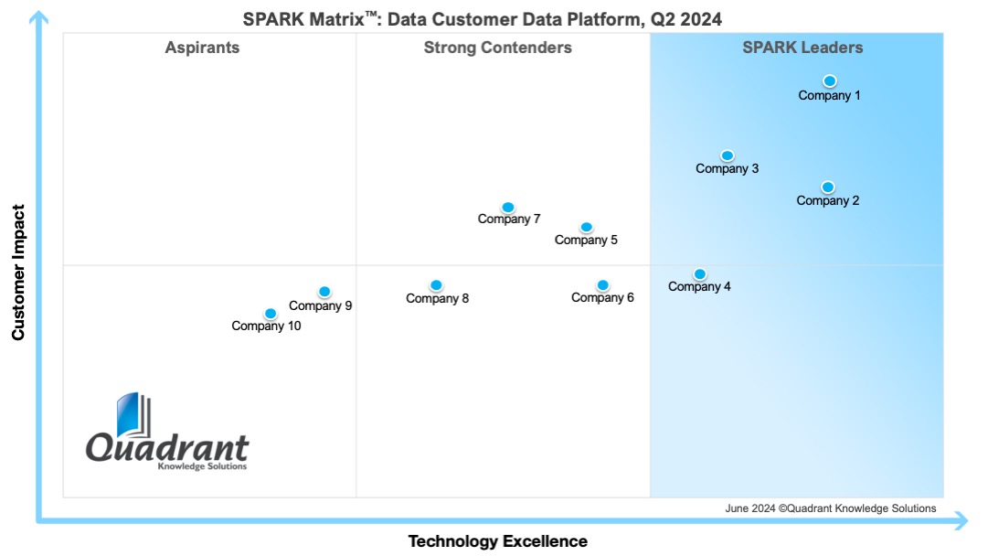 Market Overview: Data-Focused Customer Data Platforms (Data CDPs)