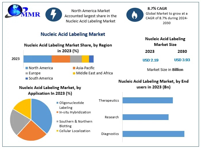 Nucleic Acid Labeling Market Report: Industry Innovations and Developments