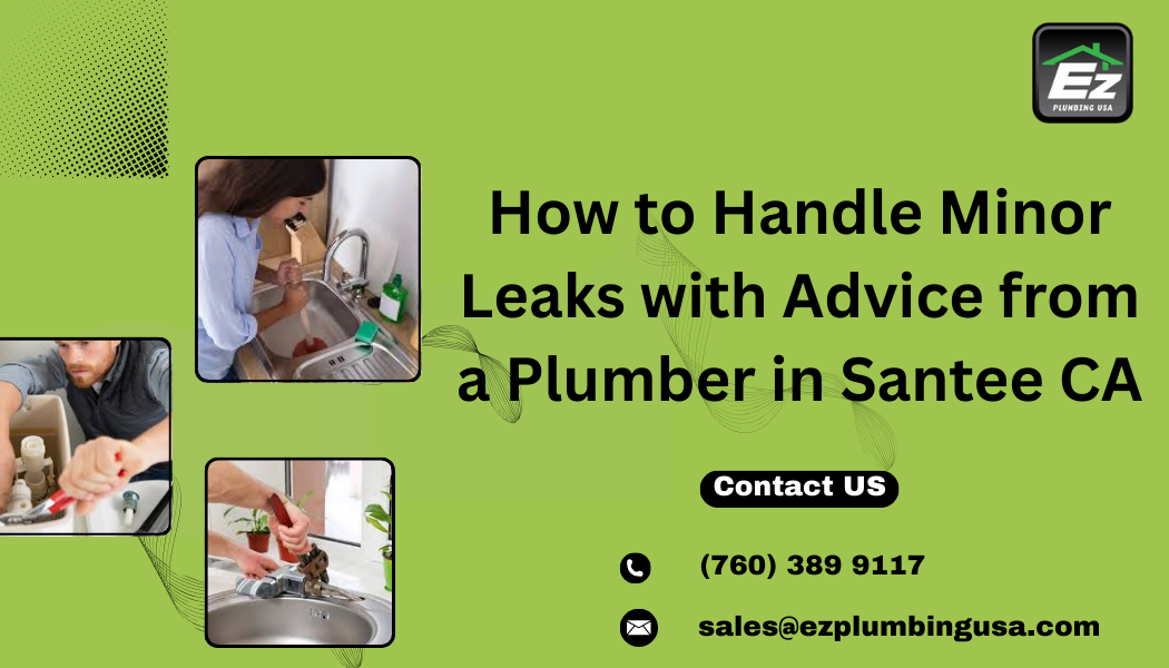 How to Handle Minor Leaks with Advice from a Plumber in Santee CA