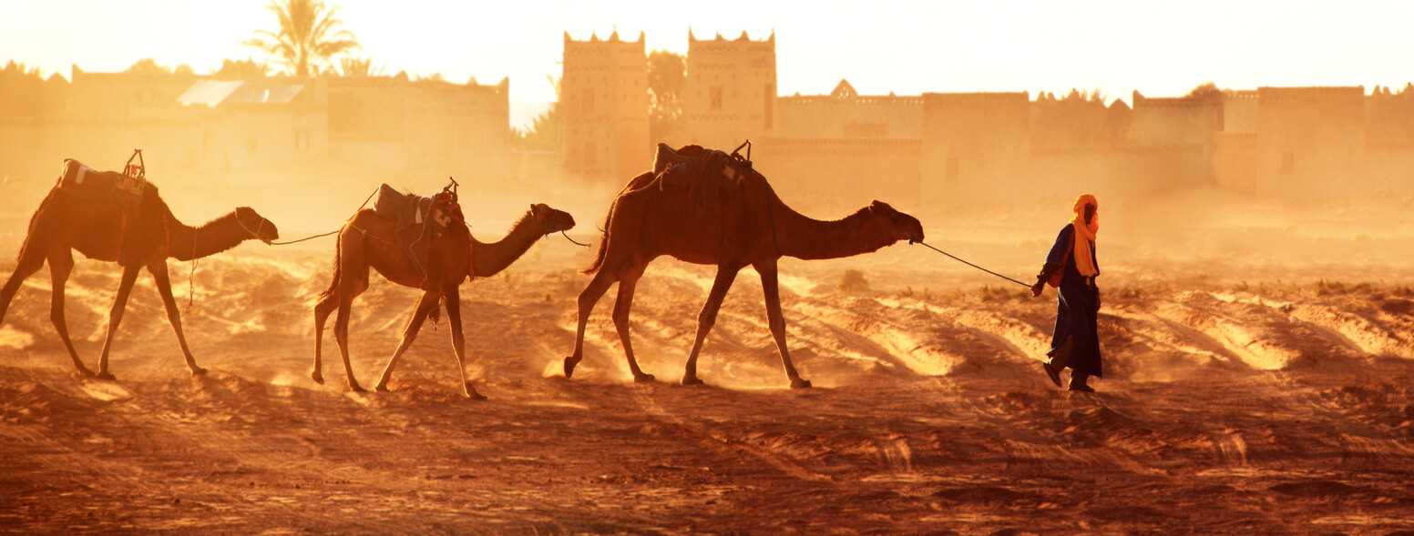 Top Morocco Tour Packages for Cultural and Desert Adventures