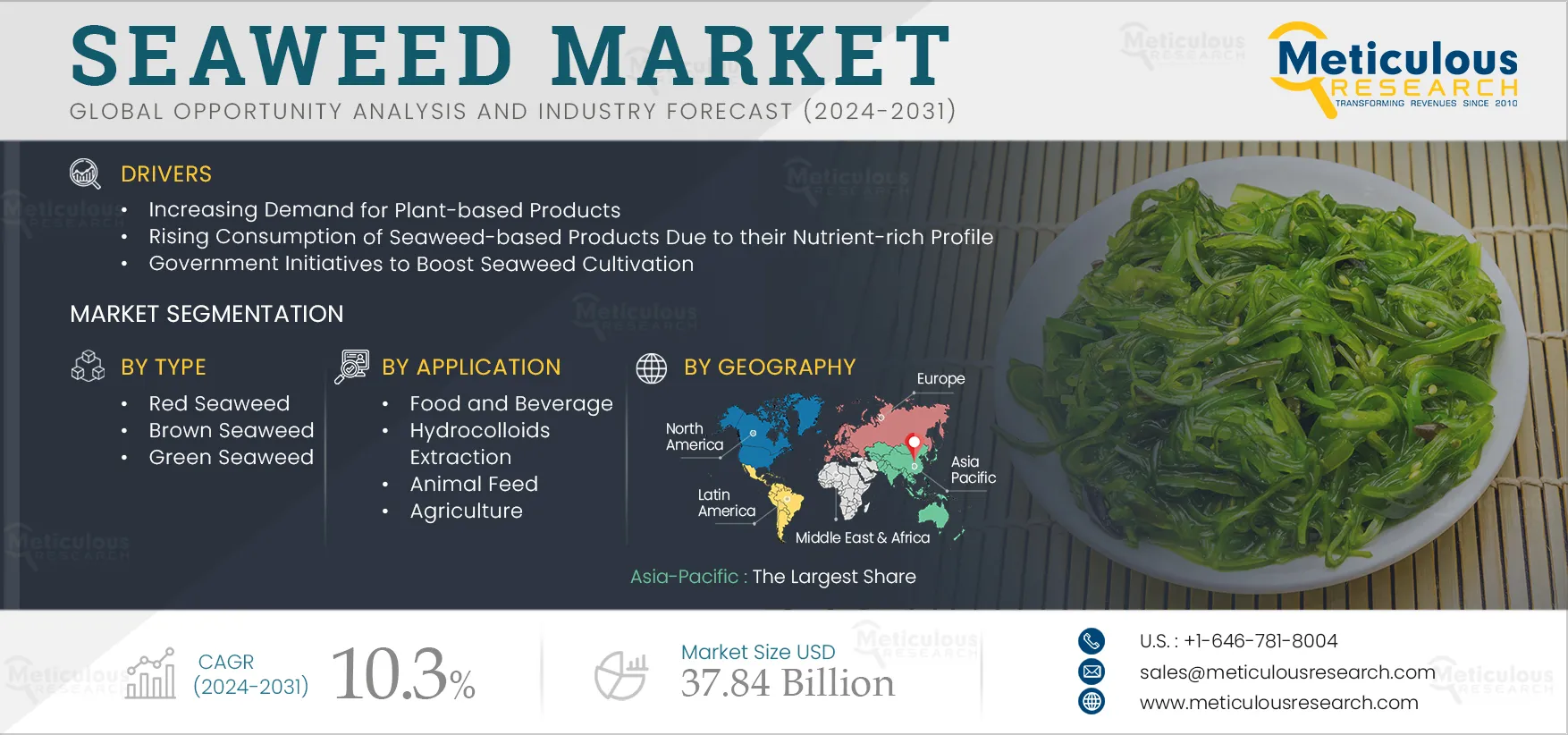 Seaweed Market to be Worth $37.84 Billion by 2031