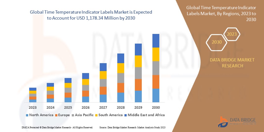 Time Temperature Indicator Labels Market Insights and Forecast Projections 2030