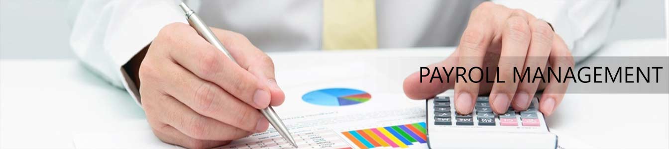 Payroll Management Services | Payroll Management in Hyderabad | NBS