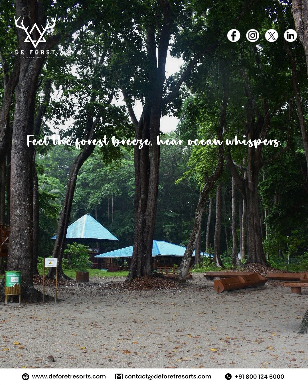 Best Resorts in Havelock Island for a Perfect Island Trip