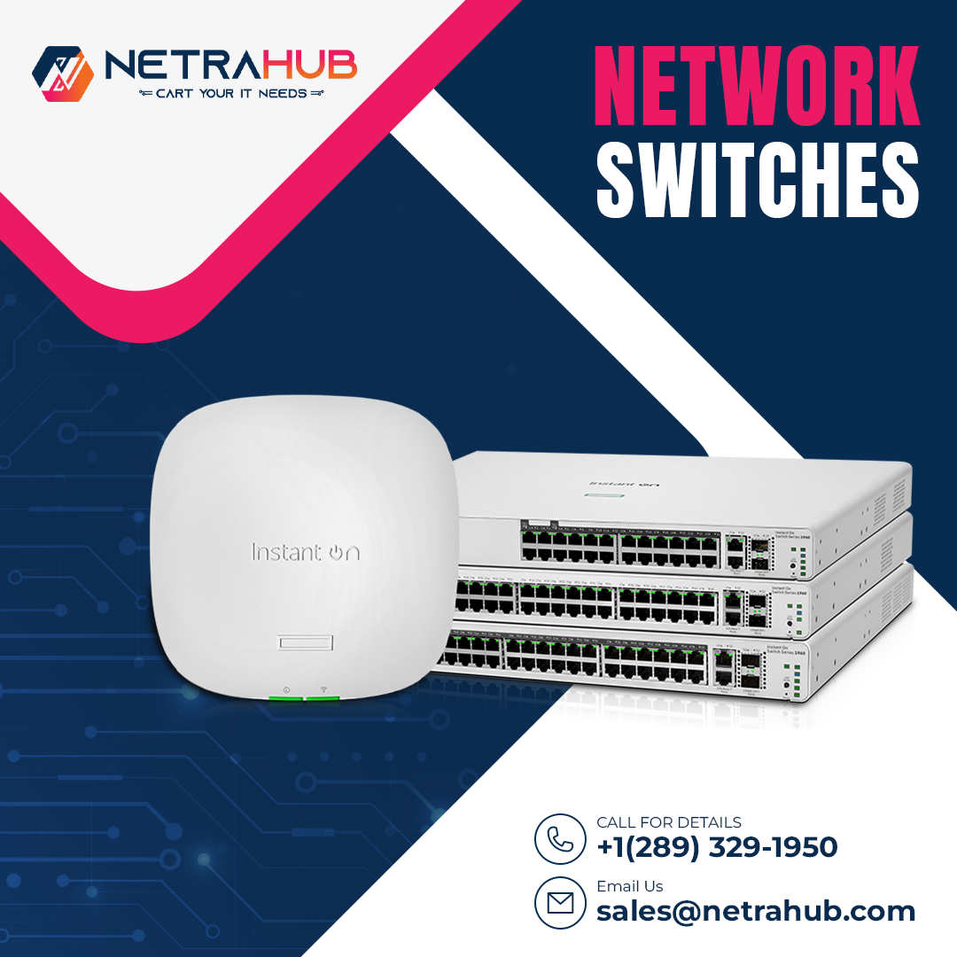 Optimizing IT Networks with NetraHub's Advanced Devices
